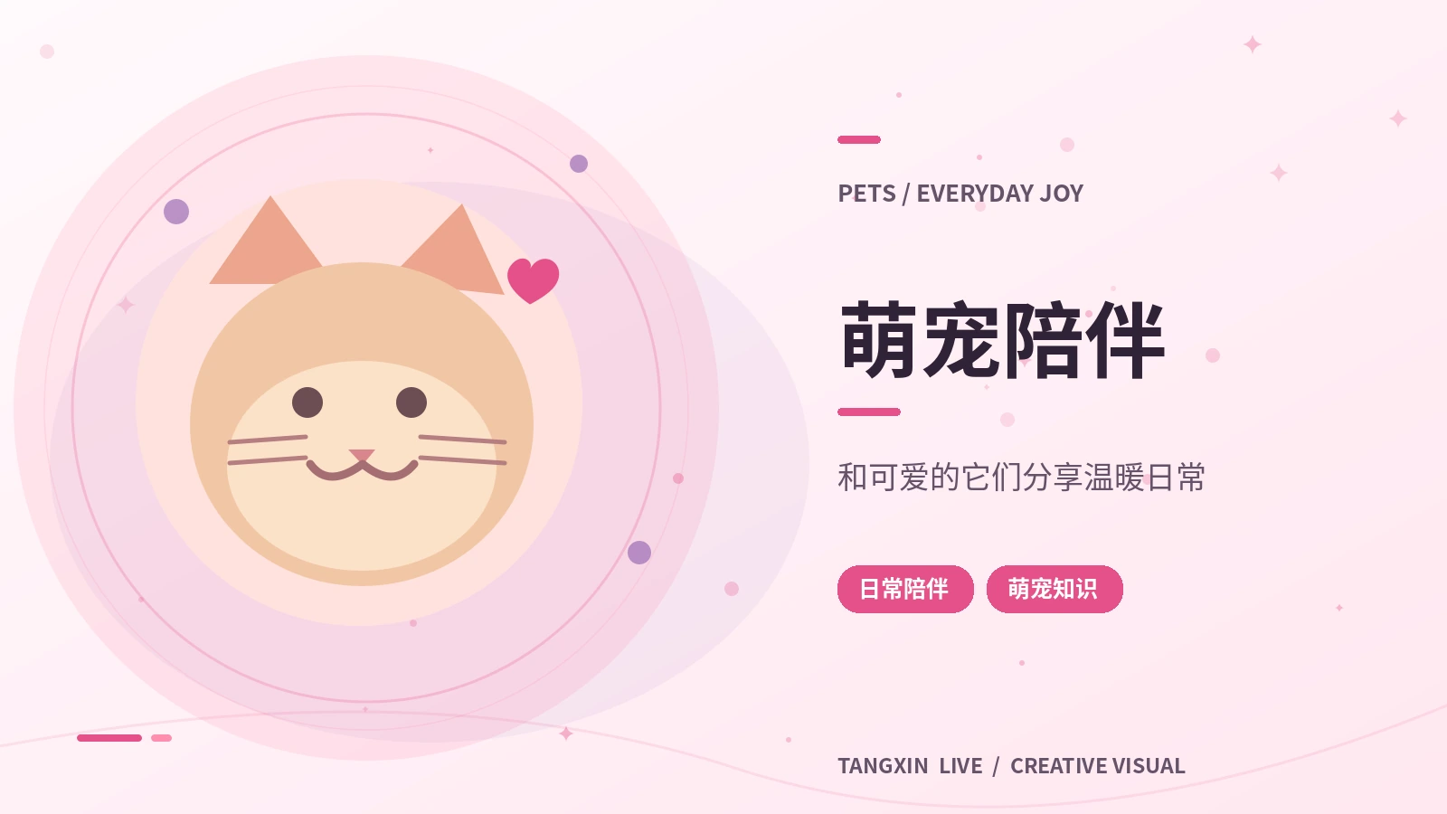 萌宠护理观察